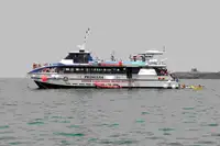Είδος σχεδίας προς πώληση
