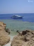 Υποστήριξη καταδύσεων προς πώληση
