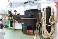 Ρυμουλκό πλοίο προς πώληση