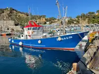 Τράτα προς πώληση
