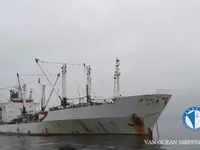 Ψυκτικό πλοίο προς πώληση