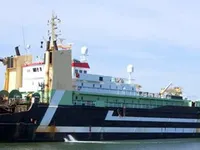 Τράτα προς πώληση