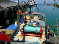 Trawler προς πώληση