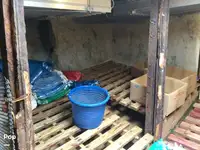 Τράτα προς πώληση
