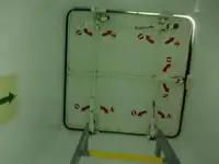 Πλοίο μεταφοράς χύδην φορτίου προς πώληση