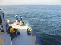 Ψυκτικό πλοίο προς πώληση