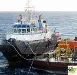 Ρυμουλκό πλοίο προς πώληση