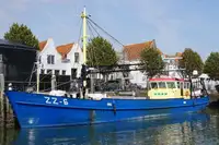 Trawler προς πώληση