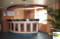 Ro-Ro ship προς πώληση