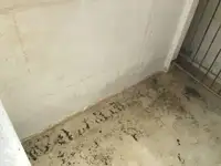 Τράτα προς πώληση