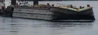 Αμφοβόλο προς πώληση