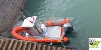 Άκαμπτο φουσκωτό σκάφος προς πώληση