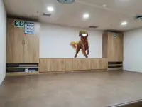 Ψυκτικό πλοίο προς πώληση