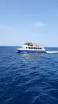 Είδος σχεδίας προς πώληση