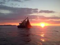 Τράτα προς πώληση