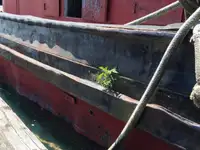 Ρυμουλκό πλοίο προς πώληση