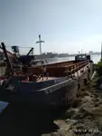 Αμφοβόλο προς πώληση