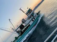 Πλοίο περιμετρικής αλιείας προς πώληση