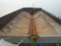 Αμφοβόλο προς πώληση