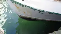 Τράτα προς πώληση