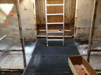 Τράτα προς πώληση