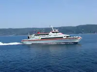 Είδος σχεδίας προς πώληση