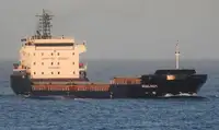 Πλοίο μεταφοράς χύδην φορτίου προς πώληση
