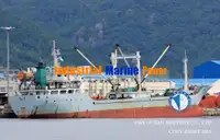 Ψυκτικό πλοίο προς πώληση