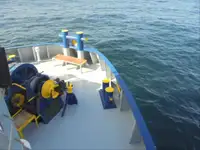 Ψυκτικό πλοίο προς πώληση