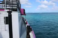 General Cargo/Multi-purpose προς πώληση