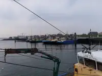Τράτα προς πώληση