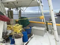 Τράτα προς πώληση