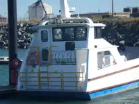 Πλοίο αποβατικής προέλευσης, δεξαμενόπλοιο προς πώληση