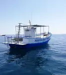 Τράτα προς πώληση