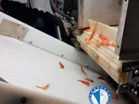 Τράτα προς πώληση
