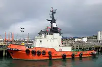 Ρυμουλκό πλοίο προς πώληση