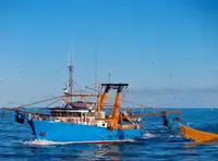 Trawler προς πώληση