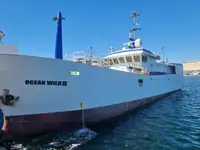 Longliner προς πώληση