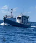 Τράτα προς πώληση
