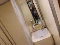 Πλοίο μεταφοράς χύδην φορτίου προς πώληση