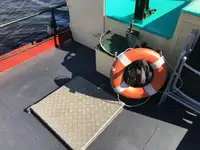 Ρυμουλκό πλοίο προς πώληση
