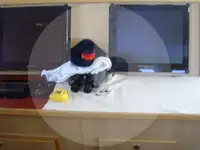 Τράτα προς πώληση