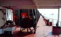 Αμφοβόλο προς πώληση