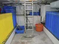 Τράτα προς πώληση
