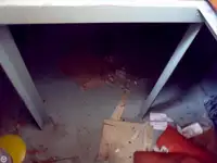 Ρυμουλκό πλοίο προς πώληση