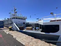 Τράτα προς πώληση