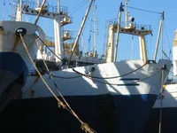 Τράτα προς πώληση