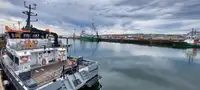 Καταμαράν προς πώληση