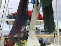 Τράτα προς πώληση