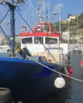 Τράτα προς πώληση